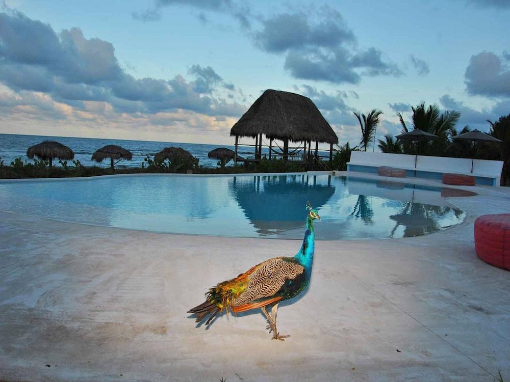 Hotel Istirincha Nautla Ngoại thất bức ảnh